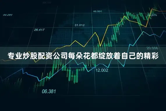 专业炒股配资公司每朵花都绽放着自己的精彩