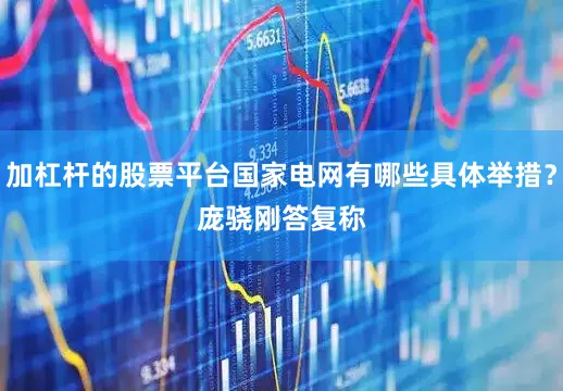 加杠杆的股票平台国家电网有哪些具体举措？　　庞骁刚答复称