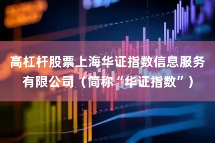 高杠杆股票上海华证指数信息服务有限公司（简称“华证指数”）