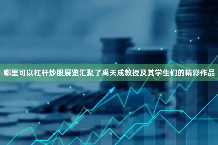 哪里可以杠杆炒股展览汇聚了禹天成教授及其学生们的精彩作品