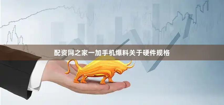配资网之家一加手机爆料关于硬件规格