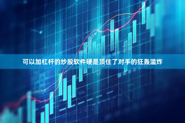 可以加杠杆的炒股软件硬是顶住了对手的狂轰滥炸