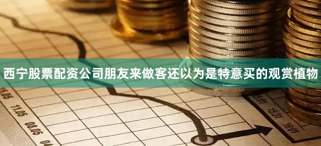西宁股票配资公司朋友来做客还以为是特意买的观赏植物